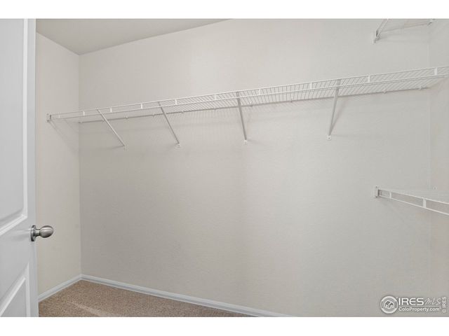 825 Sambar Dr, Severance, CO 80550