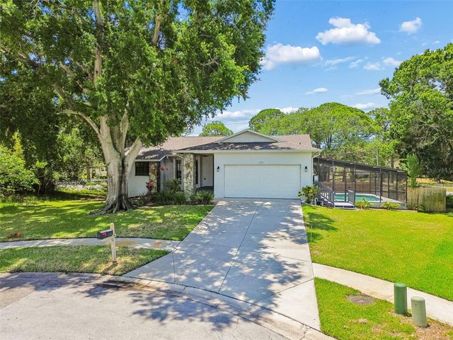 1421 IRONWORKS LANE, Tarpon Springs, FL 34689