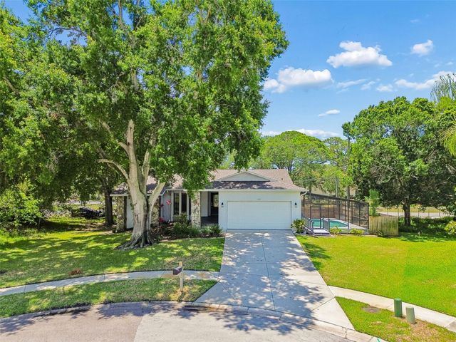 1421 IRONWORKS LANE, Tarpon Springs, FL 34689