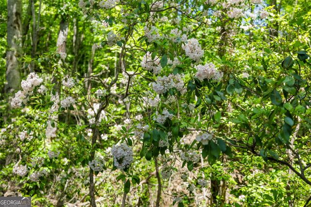 108 Olds Mountain Peak, Rabun Gap, GA 30568