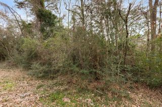 Lot 47 Sunset Drive, Livingston, TX 77351