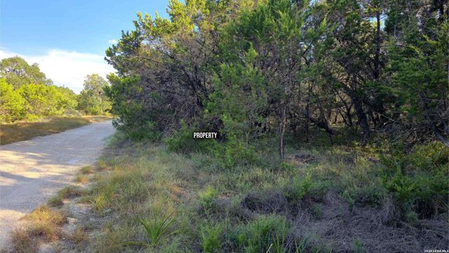 1224 Antelope, Spring Branch, TX 78070