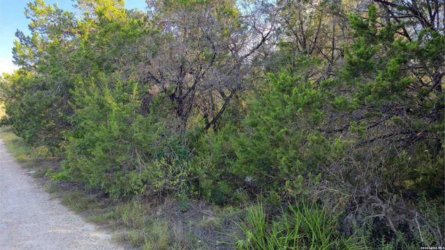 1224 Antelope, Spring Branch, TX 78070