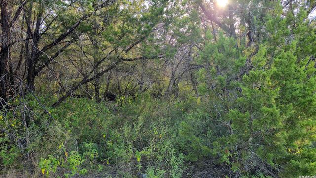 1224 Antelope, Spring Branch, TX 78070