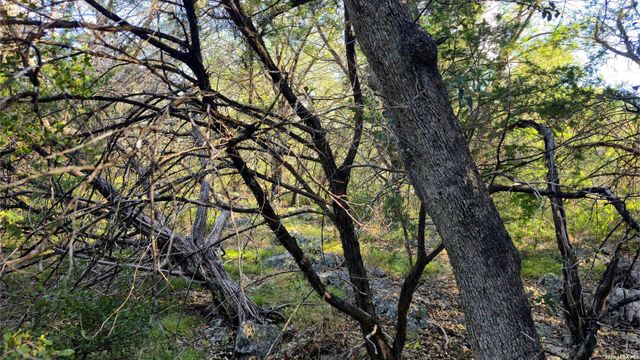 1224 Antelope, Spring Branch, TX 78070