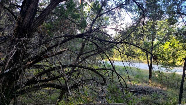 1224 Antelope, Spring Branch, TX 78070