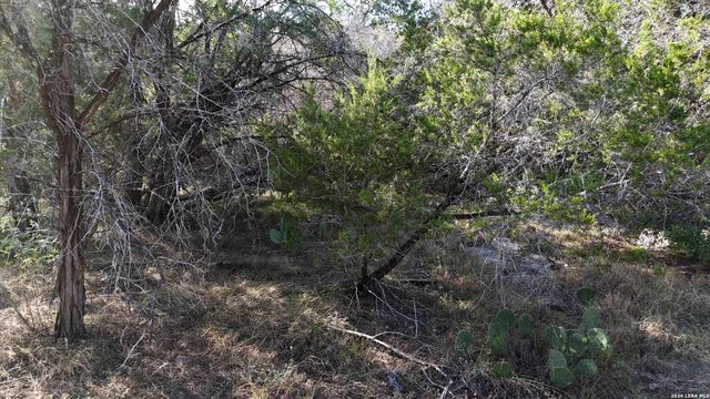 1224 Antelope, Spring Branch, TX 78070