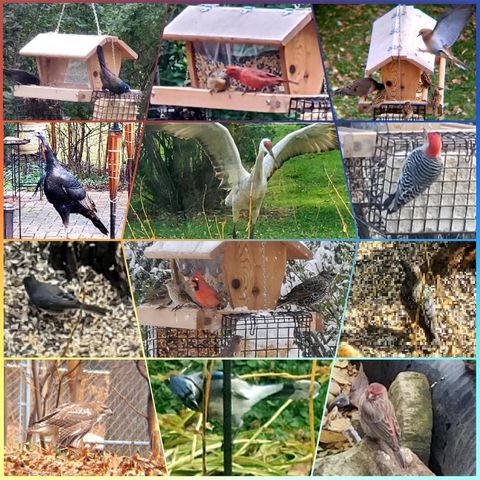 3117 Todd Drive, Madison, WI 53713