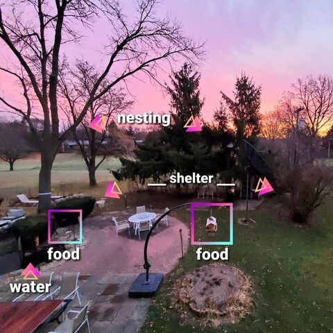 3117 Todd Drive, Madison, WI 53713