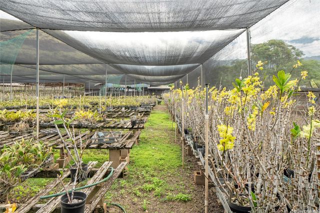 86-347 Halona Road, Waianae, HI 96792