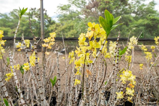 86-347 Halona Road, Waianae, HI 96792