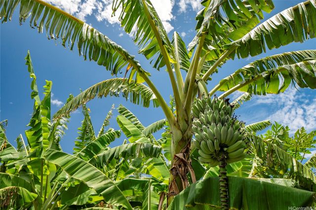 86-347 Halona Road, Waianae, HI 96792