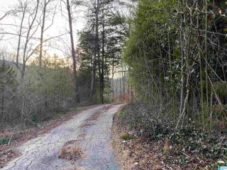 5134 DUG HOLLOW ROAD, Pinson, AL 35126