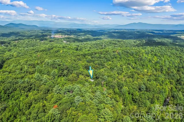 85 Trellis Drive, Nebo, NC 28761