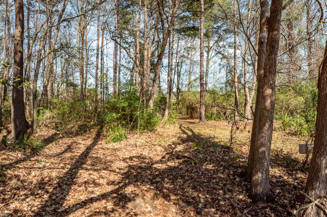 158 Red Cypress Drive, Goose Creek, SC 29445