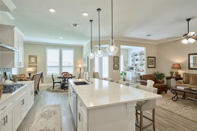 230 Connemara Drive, The Woodlands, TX 77382