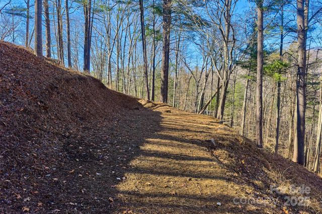 15 Beech Tree Lane, Asheville, NC 28804