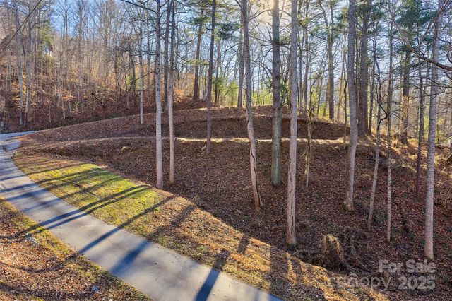 15 Beech Tree Lane, Asheville, NC 28804
