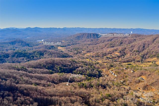 15 Beech Tree Lane, Asheville, NC 28804