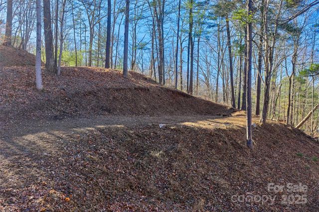 15 Beech Tree Lane, Asheville, NC 28804