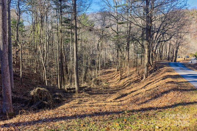 15 Beech Tree Lane, Asheville, NC 28804