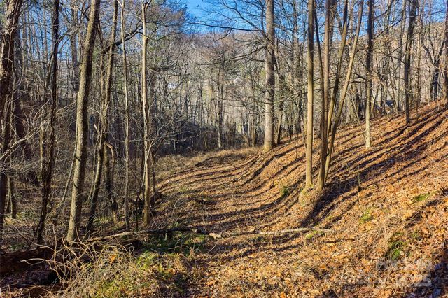 15 Beech Tree Lane, Asheville, NC 28804