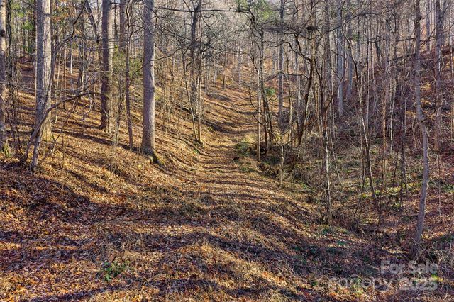 15 Beech Tree Lane, Asheville, NC 28804