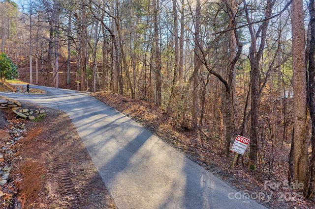 15 Beech Tree Lane, Asheville, NC 28804