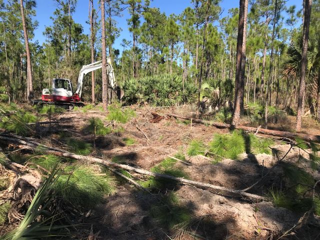 0 County 512 Road, Fellsmere, FL 32948