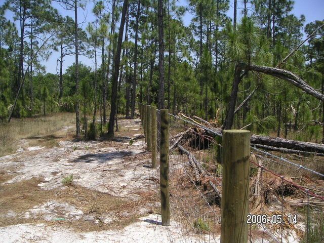 0 County 512 Road, Fellsmere, FL 32948