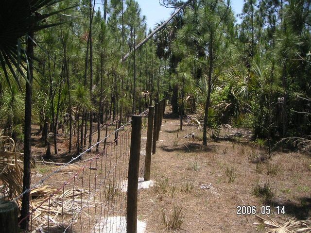 0 County 512 Road, Fellsmere, FL 32948