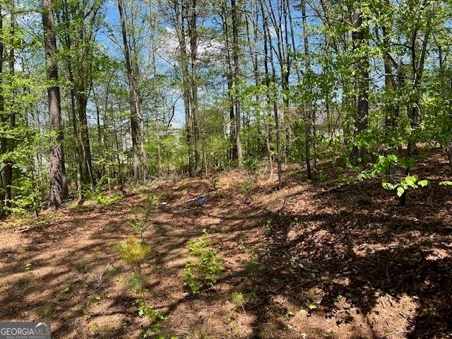 506 Carlton Drive, Palmetto, GA 30268