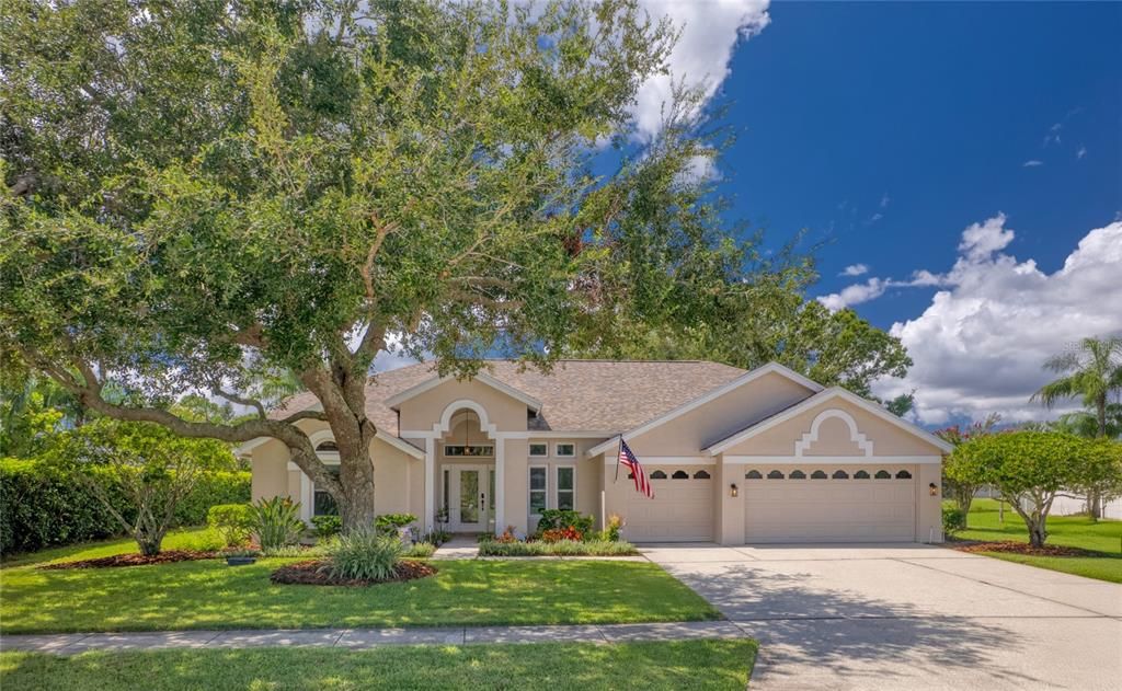 16304 COLWOOD DRIVE, Odessa, FL 33556
