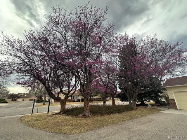 3324 Hickok Drive 2, Fort Collins, CO 80526