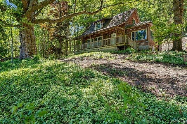 8176 Irish Road, Colden, NY 14033