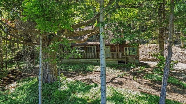 8176 Irish Road, Colden, NY 14033