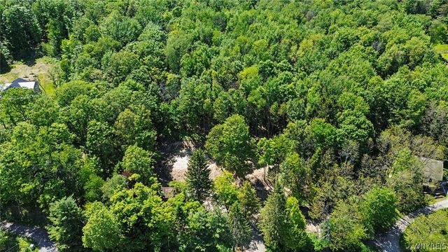 8176 Irish Road, Colden, NY 14033