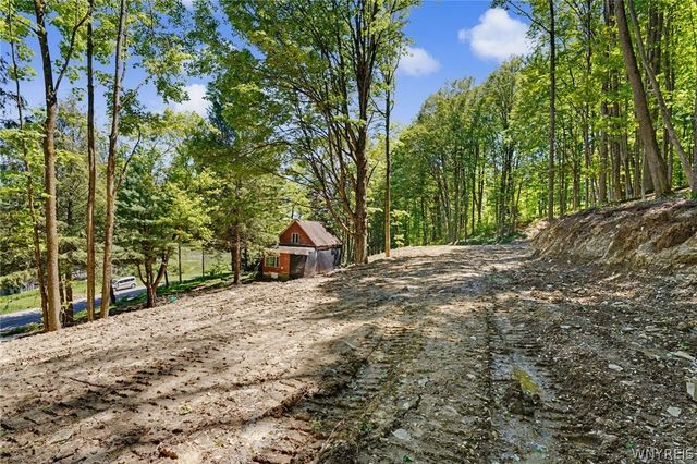 8176 Irish Road, Colden, NY 14033