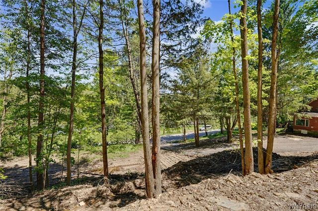 8176 Irish Road, Colden, NY 14033
