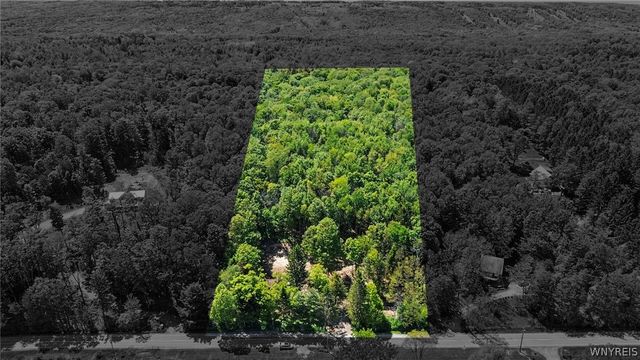 8176 Irish Road, Colden, NY 14033