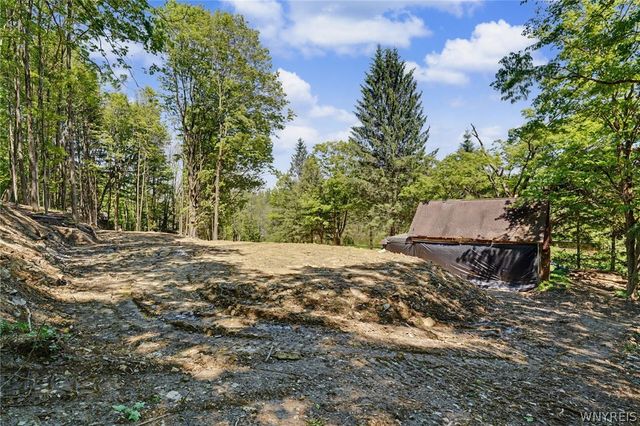 8176 Irish Road, Colden, NY 14033