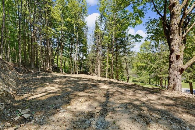 8176 Irish Road, Colden, NY 14033