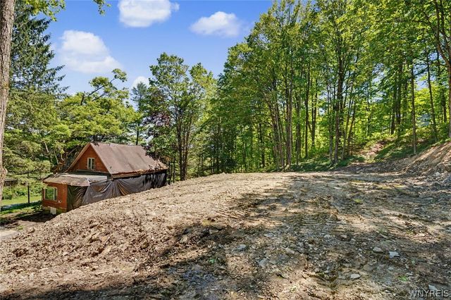 8176 Irish Road, Colden, NY 14033