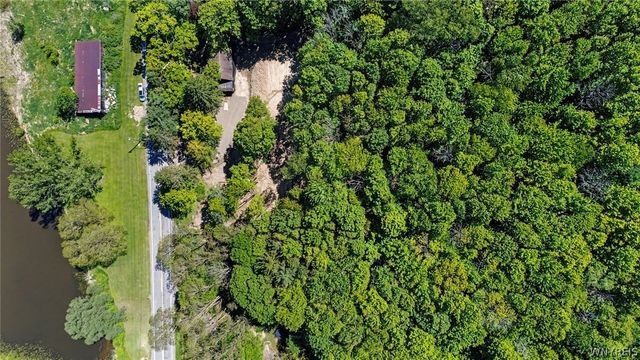 8176 Irish Road, Colden, NY 14033