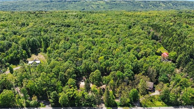 8176 Irish Road, Colden, NY 14033