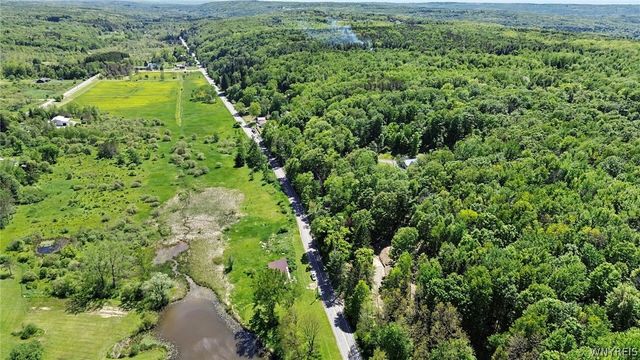 8176 Irish Road, Colden, NY 14033