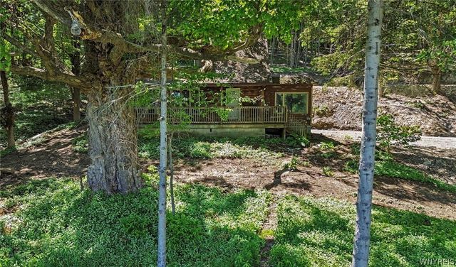 8176 Irish Road, Colden, NY 14033