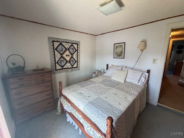 3821 Rector Road, Martinsburg, NY 13367