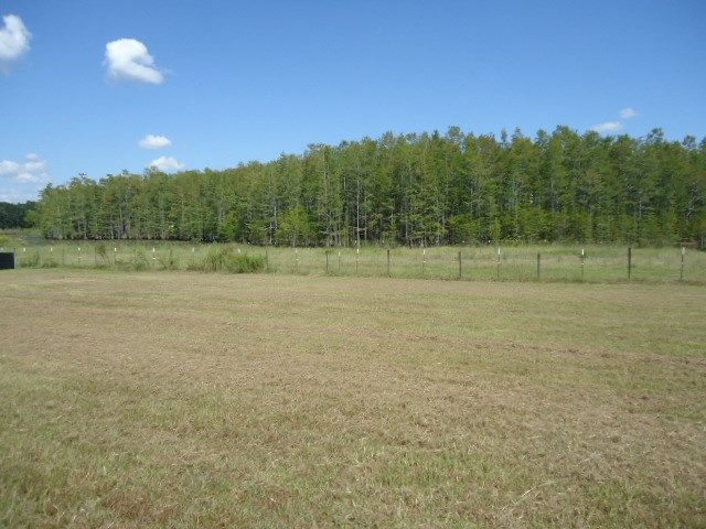 11775 S State Hwy 605, Slocomb, AL 36375