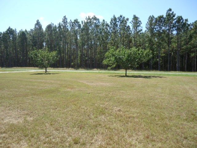 11775 S State Hwy 605, Slocomb, AL 36375